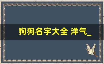 狗狗名字大全 洋气_对主人很吉利吉祥的狗狗名字